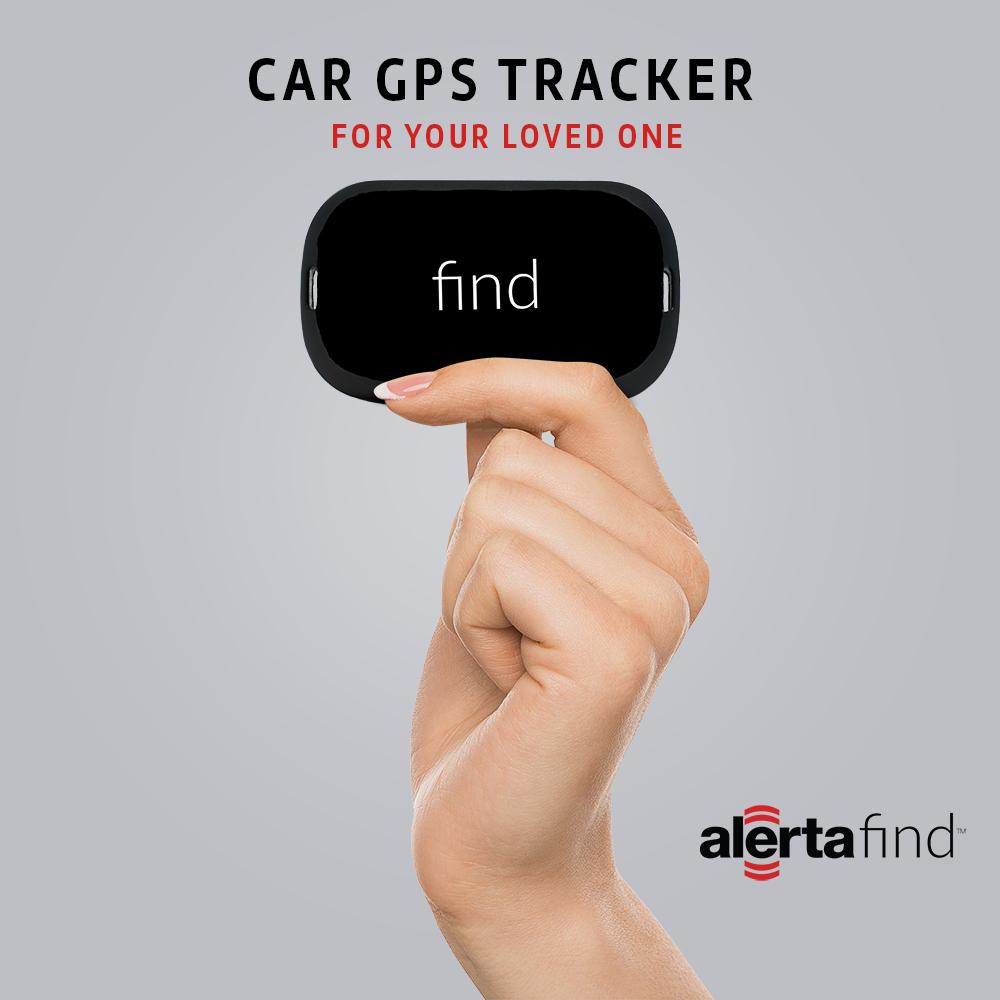 Alerta Find (2-Year Service)